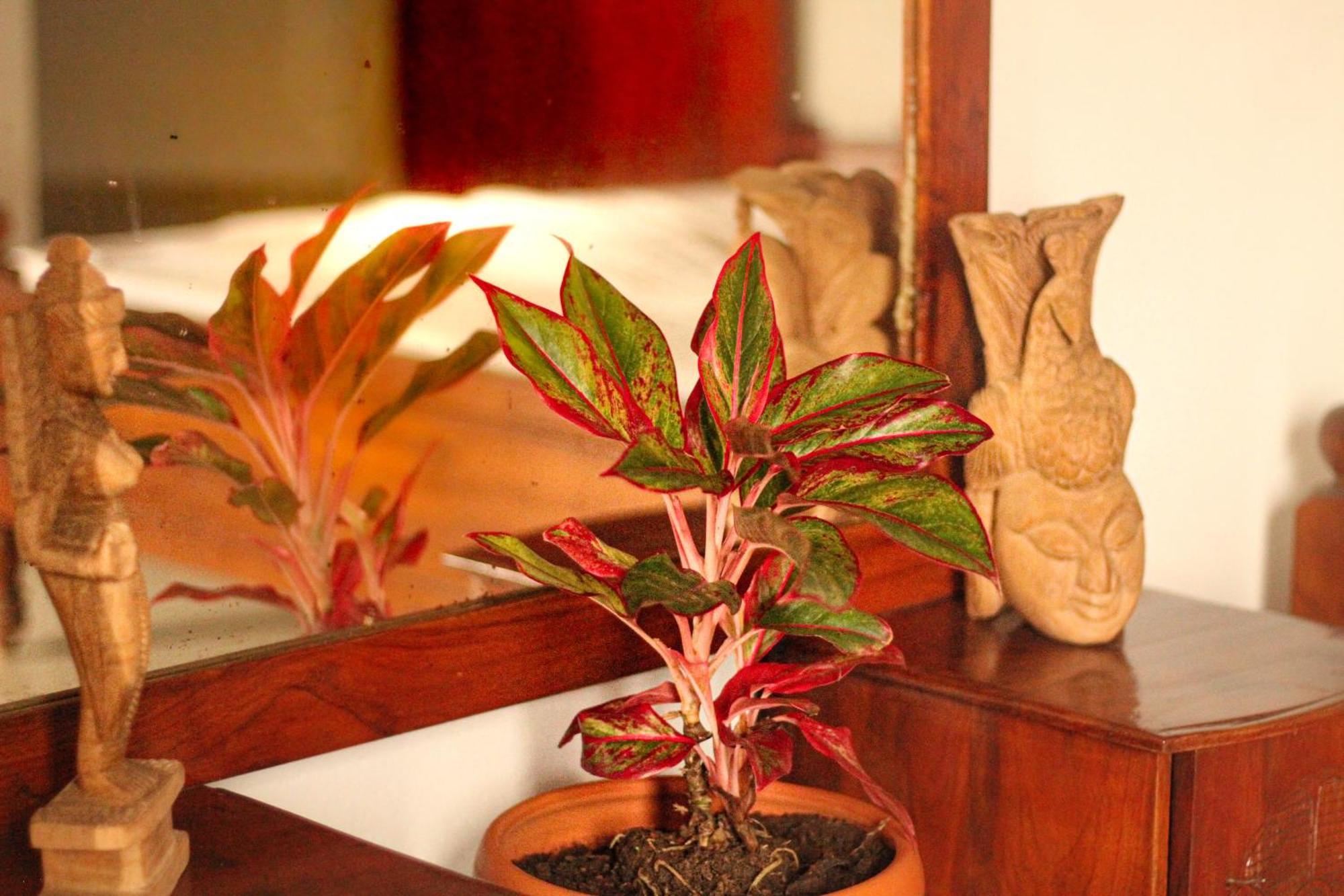 Golden Town Hotel Tangalle Dış mekan fotoğraf