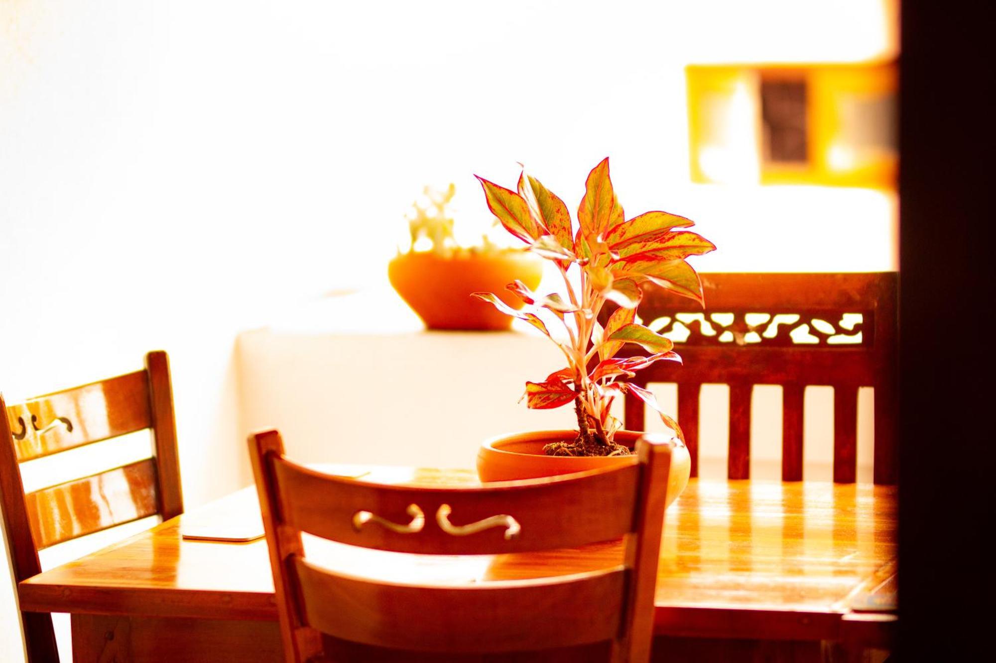 Golden Town Hotel Tangalle Dış mekan fotoğraf
